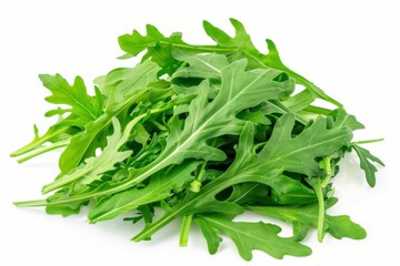 Arugula Leaf Heap. Fresh Green Rucola Nature Macro Close-Up Isolated on White Background