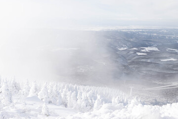 View of Mount Hakkoda landscape with white snow covered tree and ropeway cable with hazy weather
