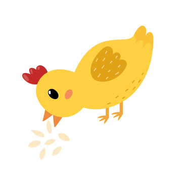 recommend clip art: Cute little chick pecking grain in cartoon style. Funny yellow bird eating seeds for baby and kids design. Vector illustration