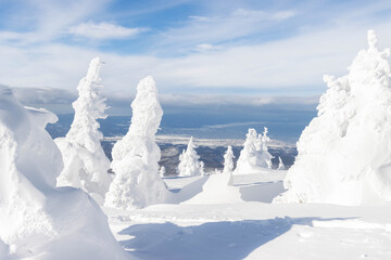 Landscape view of snow covered tree and snow ground on snow mountain with blue sky