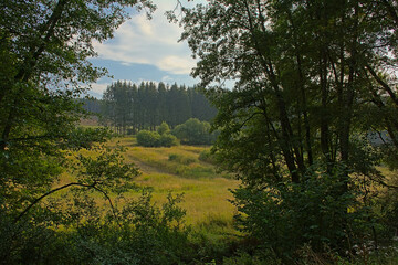 sunny summer fields and forest in Luxembourg ardennes, Wallonia, Belgium