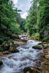 Fototapeta premium Flowing water surrounded by greenery.