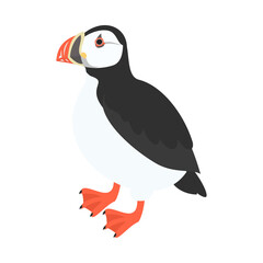 ニシツノメドリ（パフィン）。フラットなベクターイラスト。
Atlantic puffin. Flat vector illustration.