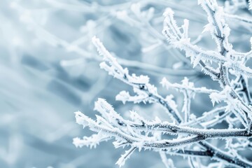 Ice Storm Style Frozen Precipitation Concept A powerful ice storm with frozen precipitation coating trees and structures