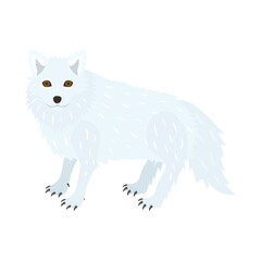 ホッキョクギツネ（シロギツネ）。フラットなベクターイラスト。
Arctic fox. Flat vector illustration.
