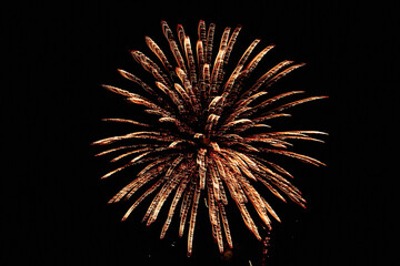 A fireworks display is lit up in the night sky. The fireworks are in the shape of a flower, with the petals being the individual fireworks. The display is bright and colorful, creating a festive