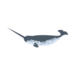 イッカク。フラットなベクターイラスト。 Narwhal (unicorn whale). Flat vector illustration. © nagamushi studio