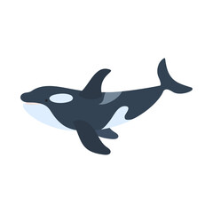 泳ぐシャチ。フラットなベクターイラスト。
Swimming killer whale. Flat vector illustration.