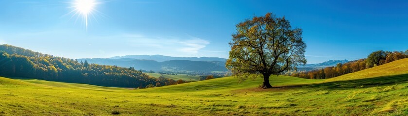 Obraz premium Beautiful Panoramic Landscape with a Lone Tree in a Green Field under a Bright Blue Sky and Sun