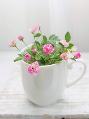 pink flowers in a cup
