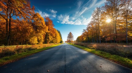 Fototapeta premium Scenic Autumn Road with Vibrant Foliage and Clear Blue Sky on a Sunny Day in a Serene Countryside