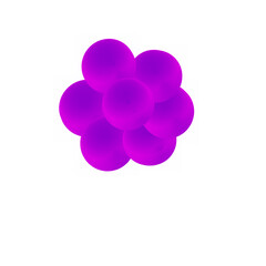 Atoms 