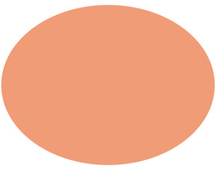 geometric oval shape element with dashed lines, concentric circle element, radiating lines of shape in prism