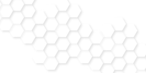 Background with hexagons. Abstract background with lines. white texture background. hexagon abstract background. Surface polygon pattern with glowing hexagon paper texture and futuristic business