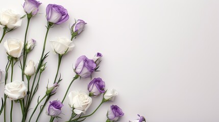 Tender eustoma flowers in white and purple on a white background, flat lay with clear copy space, perfect for designing wedding invitations.