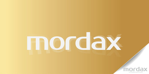 Elegant Minimalist Serif Alphabet Font Collection – Classic and Modern Lettering
