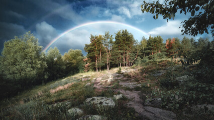 Fototapety na wymiar - Fototapeta24.pl