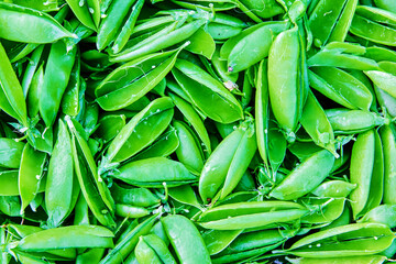 Fototapeta premium Texture of open empty green garden pea pods.