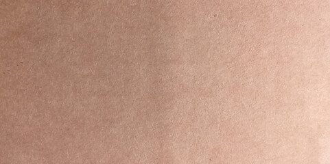 Brown craft paper cardboard texture. Textured recycled paper with natural fiber parts. Vector