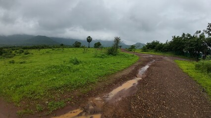 A serene meadow features a muddy path surrounded by lush greenery, all beneath a soft, cloudy sky.