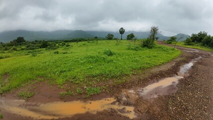 A serene meadow features a muddy path surrounded by lush greenery, all beneath a soft, cloudy sky.