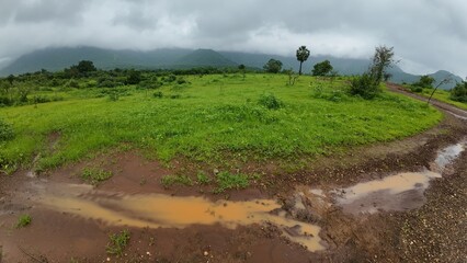 A serene meadow features a muddy path surrounded by lush greenery, all beneath a soft, cloudy sky.