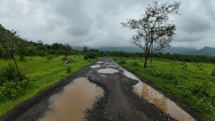 Rural Dirt Road with Puddles in Lush Green Countryside