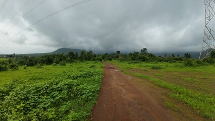 A serene meadow features a muddy path surrounded by lush greenery, all beneath a soft, cloudy sky.