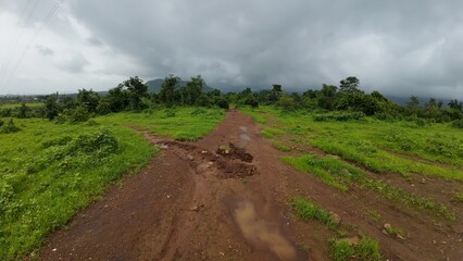 A serene meadow features a muddy path surrounded by lush greenery, all beneath a soft, cloudy sky.