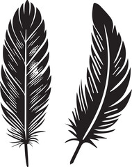 Bird Feather silhouette, black vector on white background