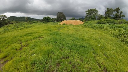 A vibrant scene of lush green grass beneath a cloudy sky, capturing the essence of the monsoon...
