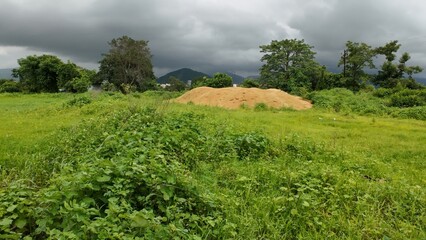 A vibrant scene of lush green grass beneath a cloudy sky, capturing the essence of the monsoon...