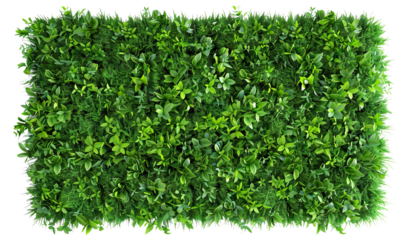 Green plant wall panno, cut out