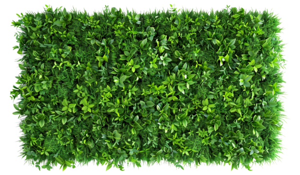 Green plant wall panno, cut out
