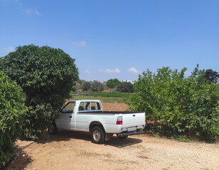 white pickup truck is parked on a rural dirt road on a sunny day. The background features agricultural fields and clear blue skies creating a serene countryside setting.