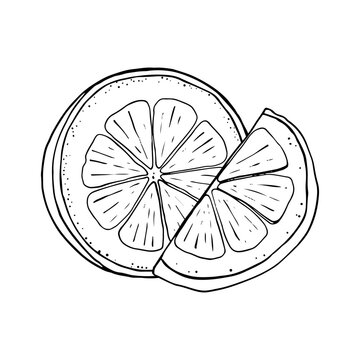 recommend clip art: Lemon fresh juice mint summer hand drawn scribble doodle line art sketch vector illustration