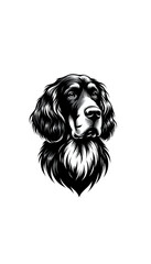 スコットランドのゴードン・セッターのモノトーン画像。黒と茶色の被毛が特徴的、狩猟犬として優れる。