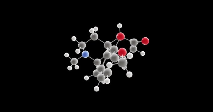 Hydrocodone molecule, rotating 3D model of opiate agonists, looped video on a black background