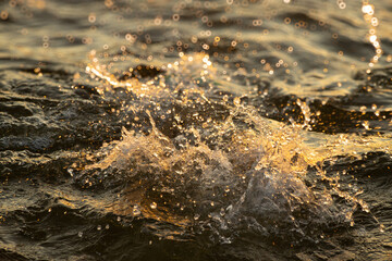 Close-up of golden waves rolling in at sunset, capturing the dynamic and shimmering beauty of the ocean. The image highlights the play of light on the water, creating a warm and vibrant scene.