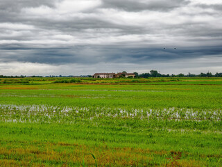 Rural landscape near Cerano, Novara, Italy