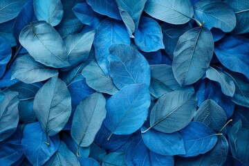 Scattering of blue leaves creates a beautiful and natural backdrop