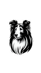 スコットランドのコリーのモノトーン画像。知的で訓練しやすい牧羊犬。