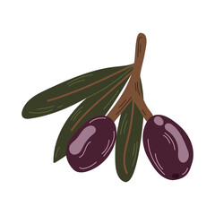 Botanical isolated illustration of olive leaves, branches  for wedding invitation and cards, logo design, web, social media and posters template.