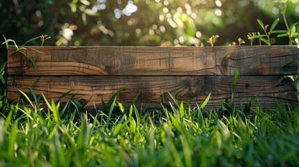 Fototapeta premium Wooden Plank in Grassy Field