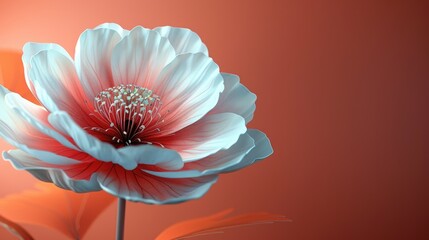 minimalist pink and white flower with an orange background