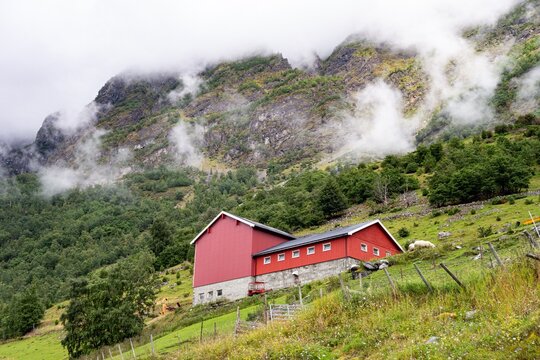 Red wooden building and barn in Norwegian misty landscape