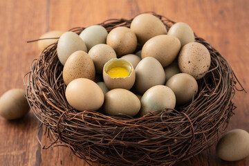 Fresh button quail eggs in a nest on wooden table background.