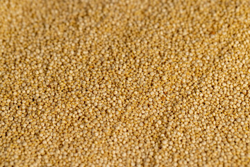 not cooked healthy quinoa porridge grains