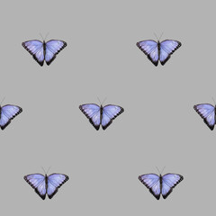 Seamless pattern with lilac butterflies. Watercolor illustration on gray background. For wrapping paper, textile, wallpaper, packaging, design