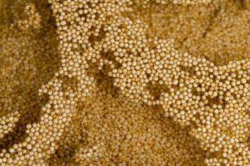 a large amount of quinoa porridge floats in clean water